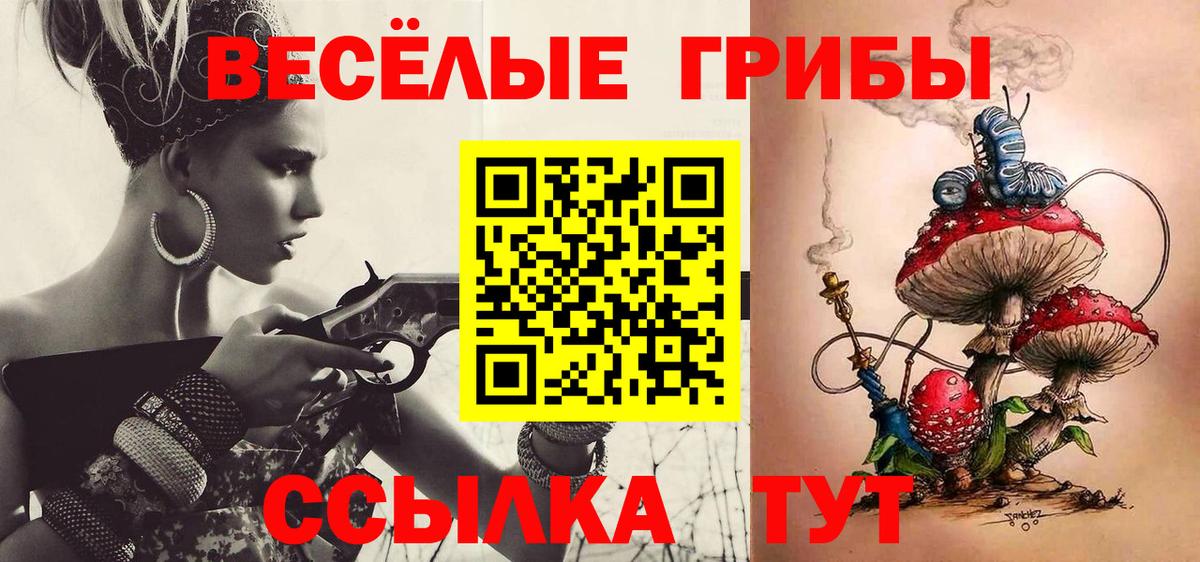 Сунжа  Псилоцибиновые грибы MAGIC MUSHROOMS  хочу   Вход с VPN 
