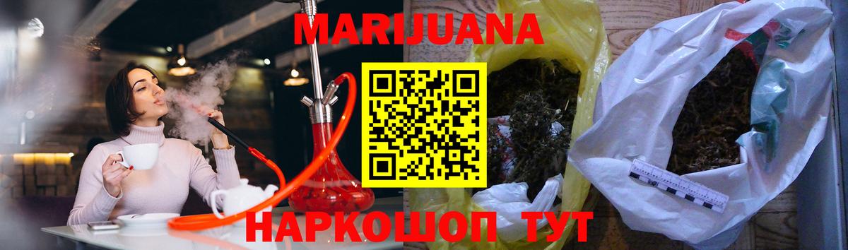 Каннабис ГИДРОПОН Сунжа