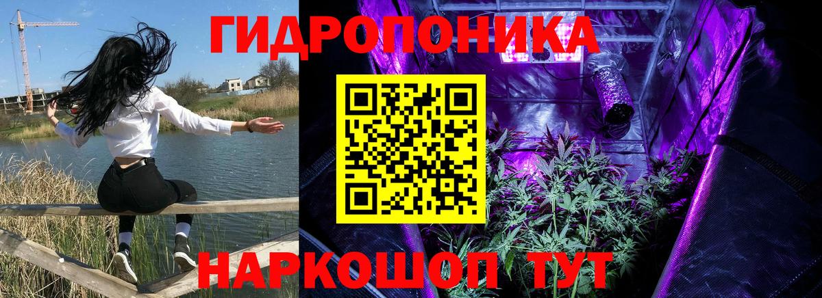 Бошки марихуана SATIVA & INDICA  Вход с VPN  Шишки марихуана индика  Канабис конопля  Сунжа 